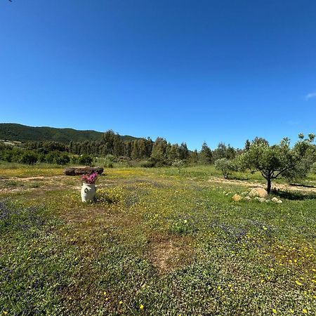 B&B Sensorial Experience Villamassargia Εξωτερικό φωτογραφία