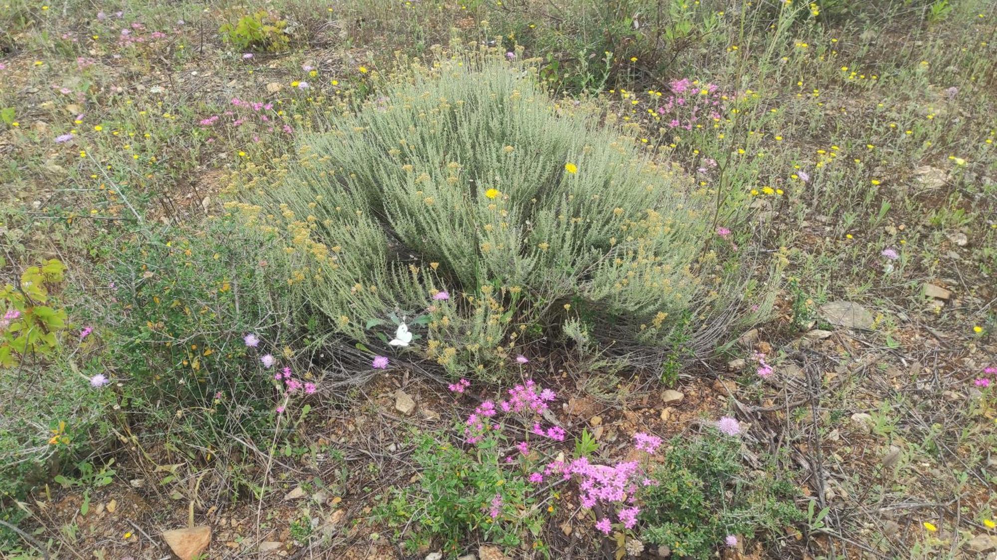B&B Sensorial Experience Villamassargia Εξωτερικό φωτογραφία