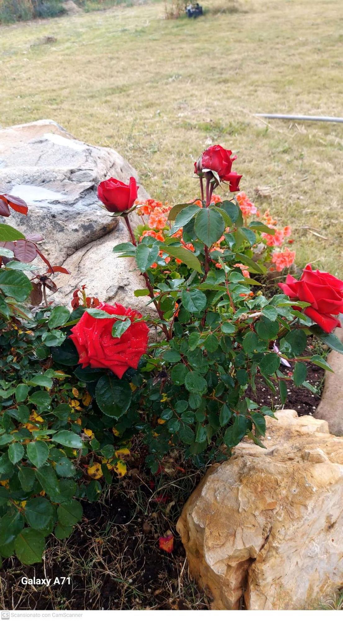 B&B Sensorial Experience Villamassargia Εξωτερικό φωτογραφία