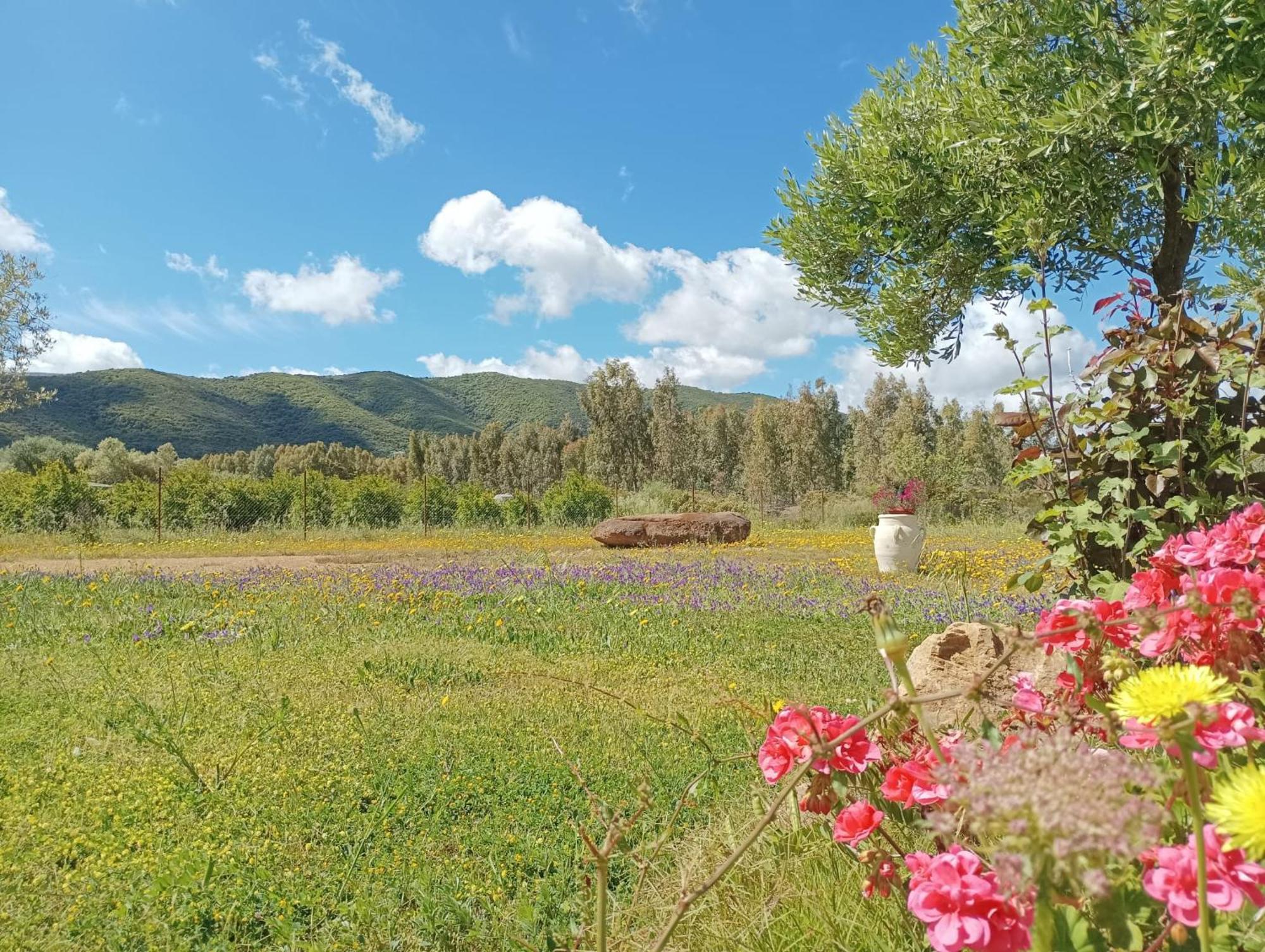B&B Sensorial Experience Villamassargia Εξωτερικό φωτογραφία