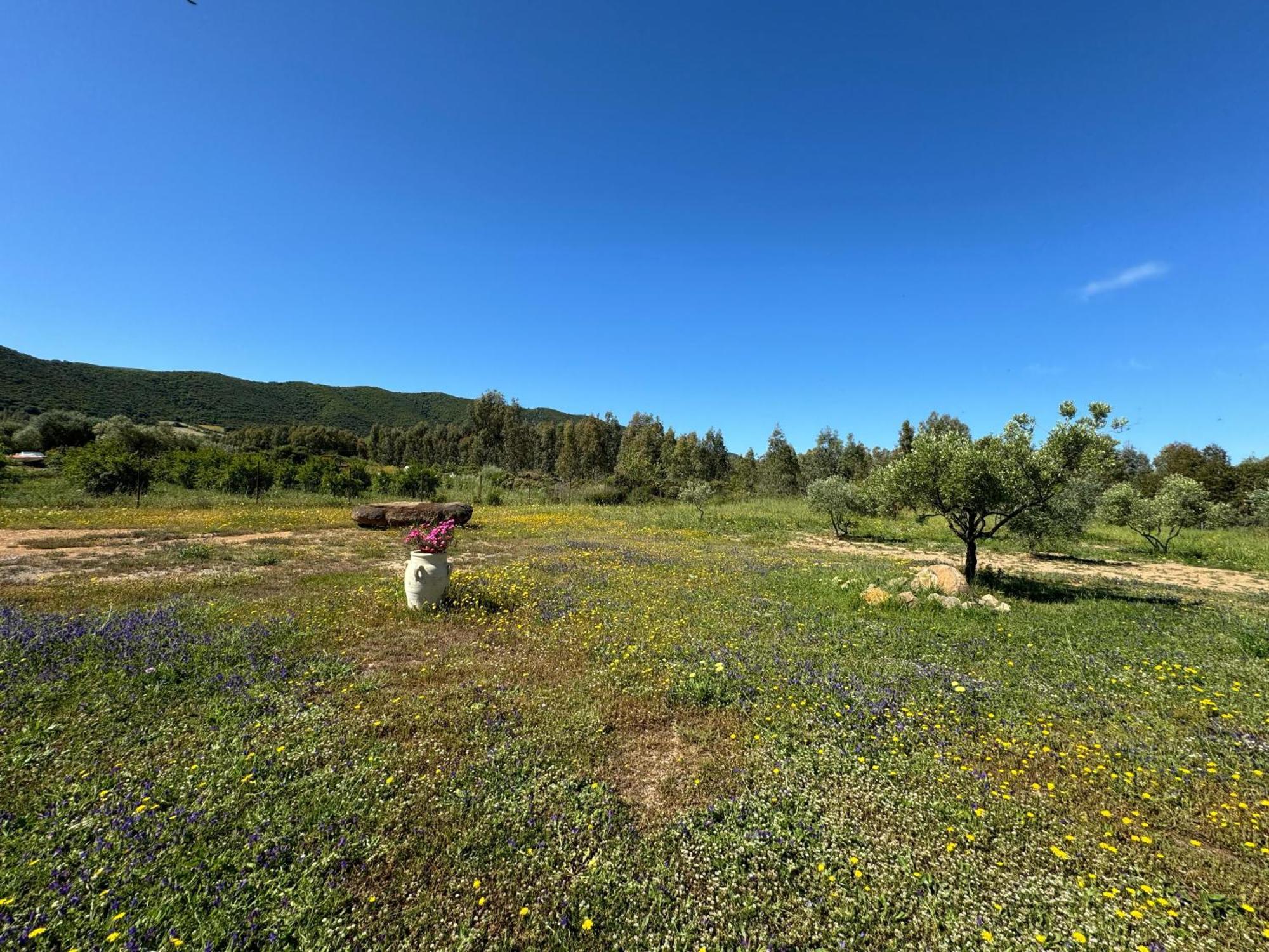 B&B Sensorial Experience Villamassargia Εξωτερικό φωτογραφία